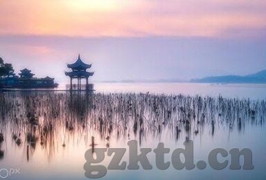 麻豆91麻豆-深刻探索网络文化的多元维面，麻豆91的独特视角