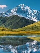 糖心tv官网-解锁流媒体新视觉，探索糖心TV官网的魅力无限